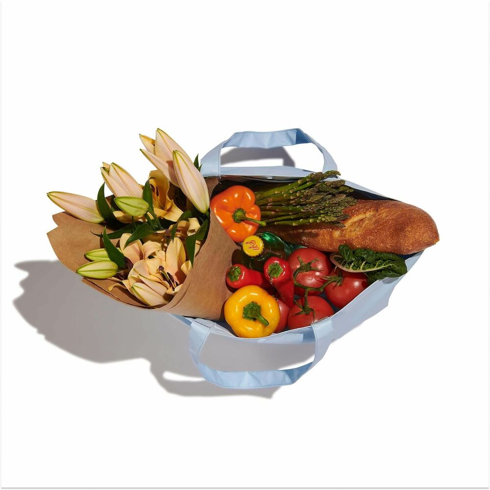 20 L Tag Along Tote - Image 46