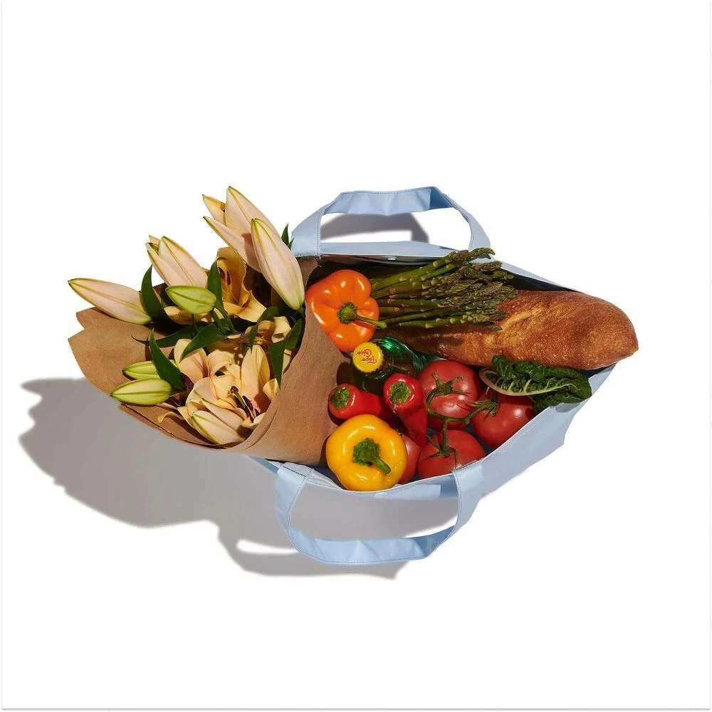 20 L Tag Along Tote - Image 53